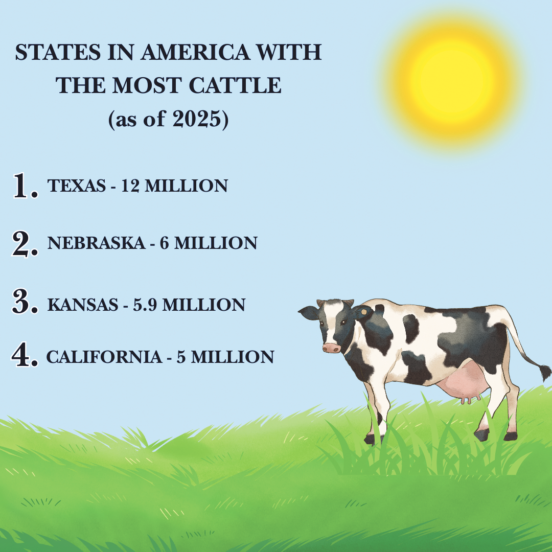 Information from National Beef Wire